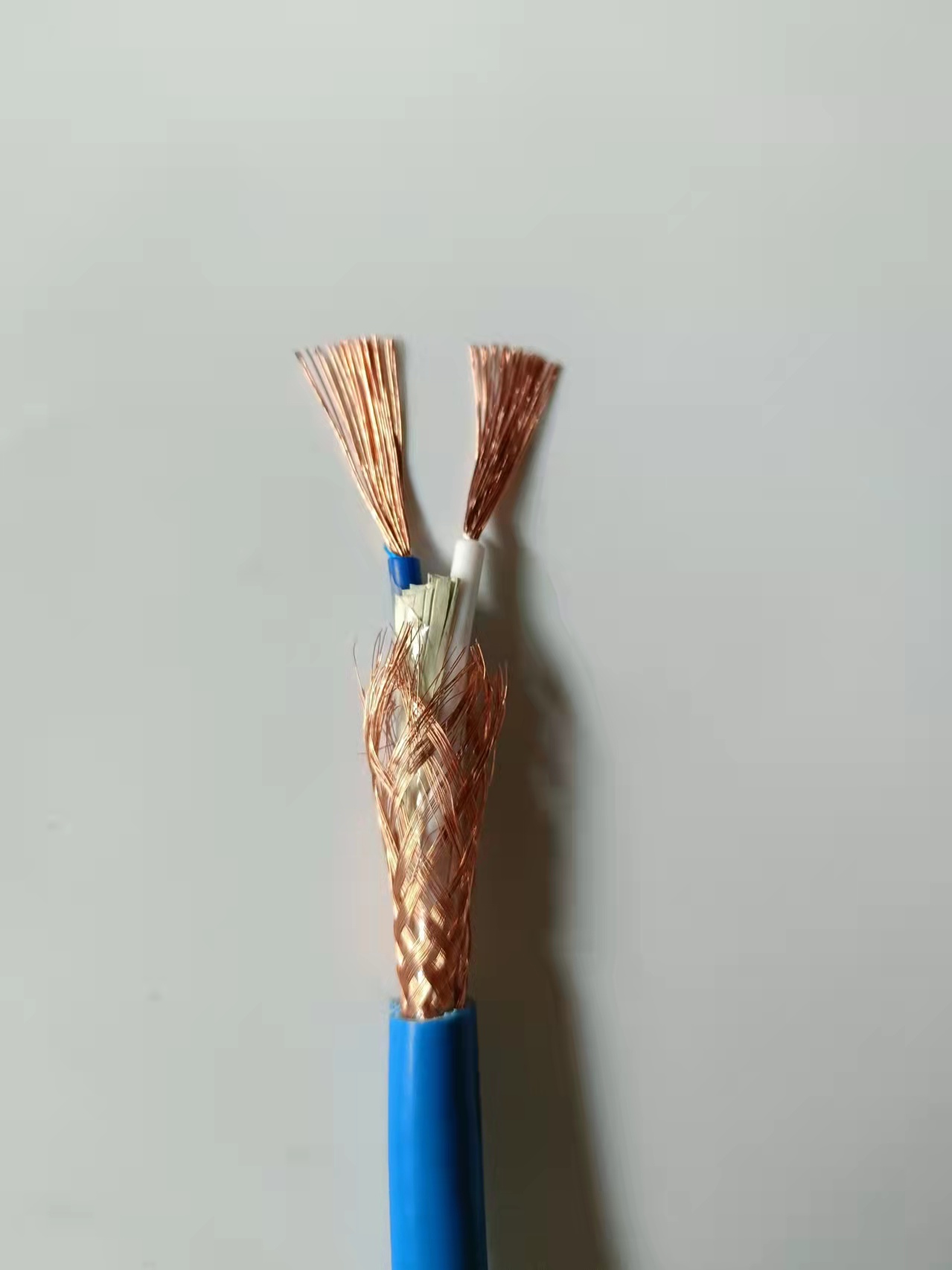 ������̖(h��o)������|