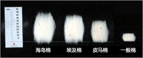 50塊錢和5000塊錢面料的區別